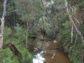 Upstream