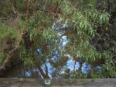 Downstream
