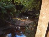 Upstream