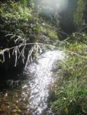 Upstream