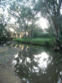 Upstream