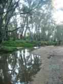 Downstream