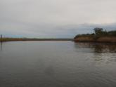 Downstream