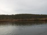 Upstream
