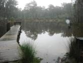Upstream