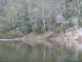 Downstream