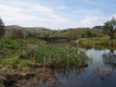 Downstream