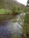 Upstream
