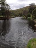Upstream
