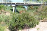 Upstream