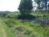Upstream