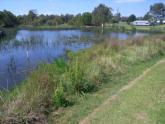 Downstream
