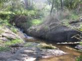 Upstream