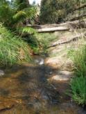 Downstream