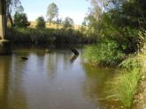 Upstream