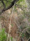 Upstream