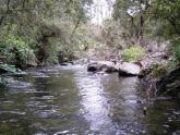 Upstream