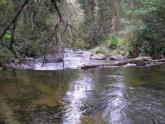 Downstream