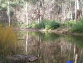 Downstream