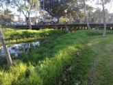 Downstream