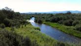 Upstream