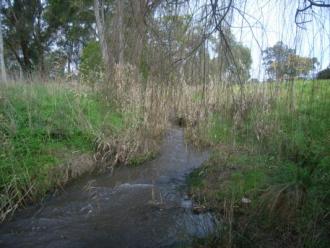 Upstream