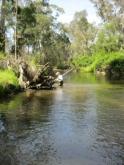 Upstream