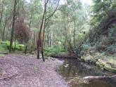 Upstream