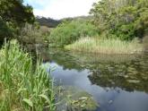 Upstream