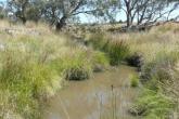 Upstream