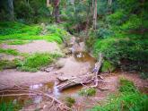 Upstream