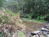 Downstream