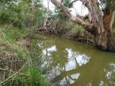 Downstream