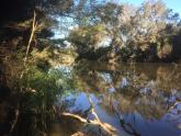 Downstream