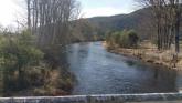 Downstream