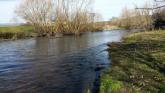 Upstream