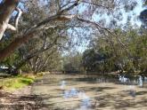 Upstream