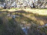 Upstream