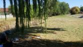 Upstream