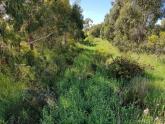 Upstream
