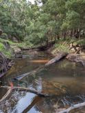 Downstream