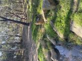 Downstream