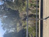 Upstream