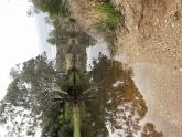 Upstream